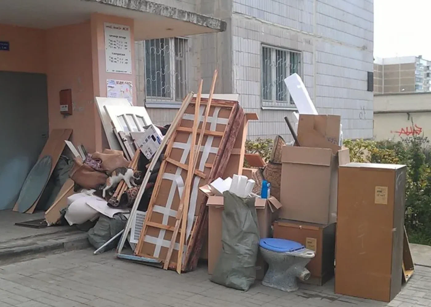 Профессиональный вывоз мусора из квартиры в Ижевске в октябре