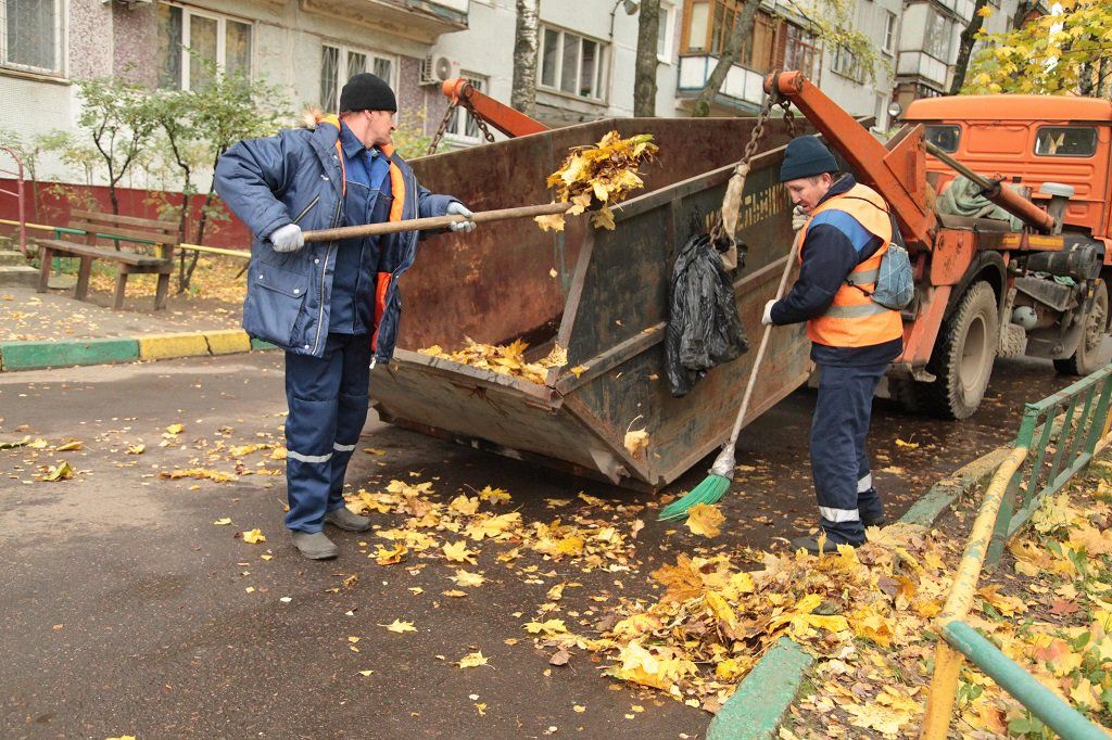 Вывоз опавшей листвы и растительного мусора в Ижевске от ПроМусор – цена от 4674 руб., быстрая уборка и утилизация